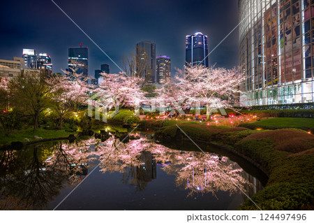 Roppongi - Cherry blossom illumination at Mori Garden Roppongi - Cherry blossom illumination at Mori Garden 124497496