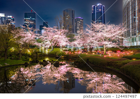 六本木 - 毛利花園的櫻花燈飾 六本木 - 毛利花園的櫻花燈飾 124497497