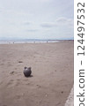 漂浮流向海岸 124497532