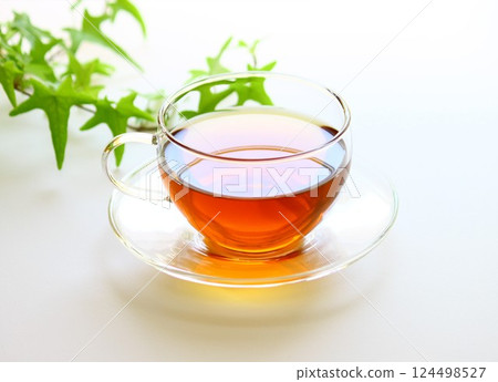 茶和常春藤 茶和常春藤 124498527