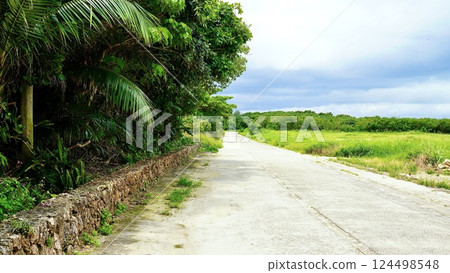 Farmland scenery on Taketomi Island, Okinawa Prefecture Farmland scenery on Taketomi Island, Okinawa Prefecture 124498548