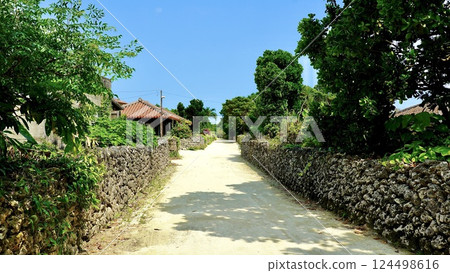 Townscape of Taketomi-jima Island, Okinawa Prefecture 124498616