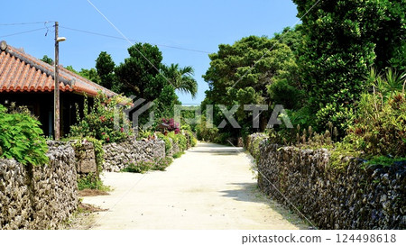 Townscape of Taketomi-jima Island, Okinawa Prefecture Townscape of Taketomi-jima Island, Okinawa Prefecture 124498618