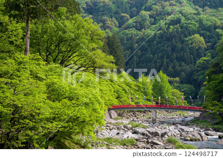 香嵐溪的新綠（愛知縣豐田市足助町） 124498717