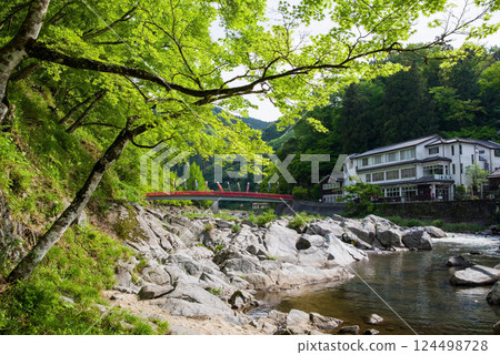 香嵐溪的新綠(愛知縣豐田市足助町) 香嵐溪的新綠(愛知縣豐田市足助町) 124498728