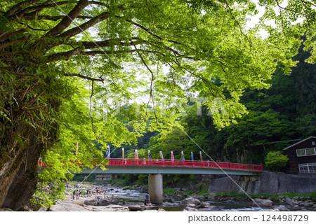 香嵐溪的新綠（愛知縣豐田市足助町） 124498729