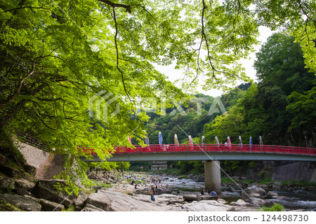 香嵐溪的新綠（愛知縣豐田市足助町） 124498730