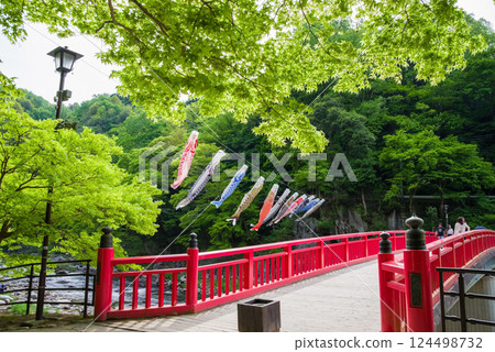 Fresh greenery in Korankei (Asuke Town, Toyota City, Aichi Prefecture) 124498732