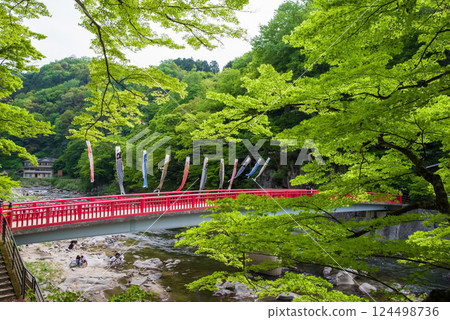 香嵐溪的新綠（愛知縣豐田市足助町） 124498736