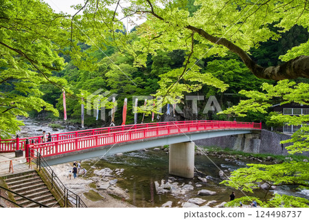 Fresh greenery in Korankei (Asuke Town, Toyota City, Aichi Prefecture) Fresh greenery in Korankei (Asuke Town, Toyota City, Aichi Prefecture) 124498737