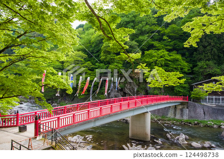 香嵐溪的新綠（愛知縣豐田市足助町） 124498738