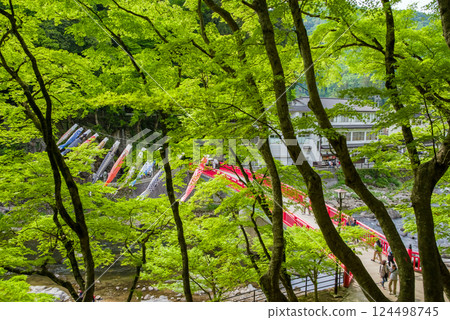 香嵐溪的新綠(愛知縣豐田市足助町) 香嵐溪的新綠(愛知縣豐田市足助町) 124498745