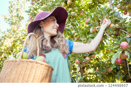 Apple harvest, fruit farm and happy woman with agriculture food, produce and healthy farming. Sustainability, nutrition and green lifestyle of a person on a summer day enjoying organic fruits outdoor Apple harvest, fruit farm and happy woman with agriculture food, produce and healthy farming. Sustainability, nutrition and green lifestyle of a person on a summer day enjoying organic fruits outdoor 124498937