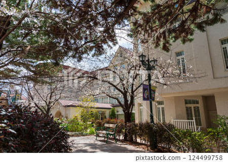 Flower Michi Flower Michi 124499758