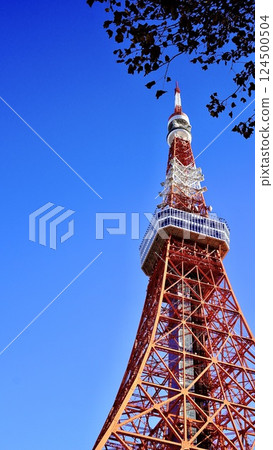 Tokyo Tower and the blue sky Tokyo Tower and the blue sky 124500504
