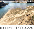 Beautiful riverbank in winter 124500820