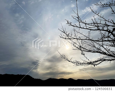 隱藏在雲層中的太陽 124500831