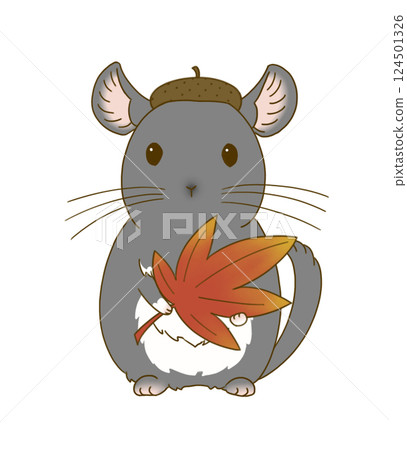 栗鼠(黑絲絨)頭戴橡子帽,手捧楓葉 栗鼠(黑絲絨)頭戴橡子帽,手捧楓葉 124501326