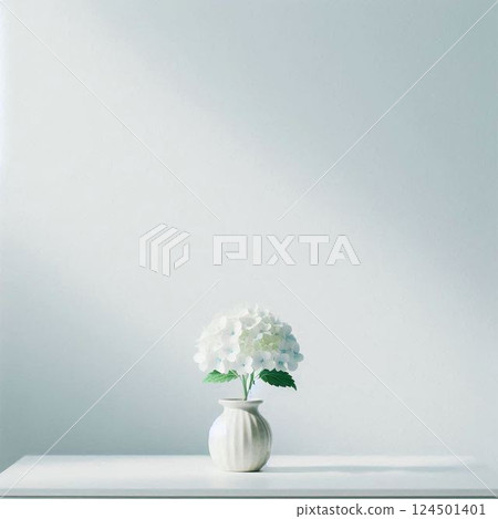 白色房間花瓶中的白色繡球花 124501401
