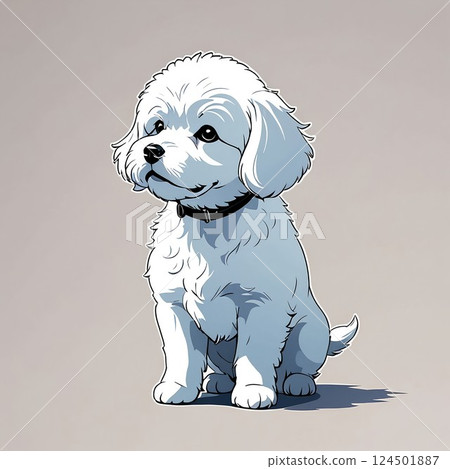 一隻聰明的比熊犬試著傾聽 124501887