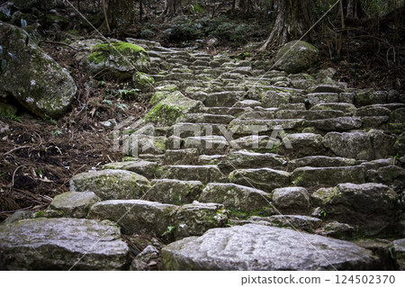 熊野古道 熊野古道 124502370