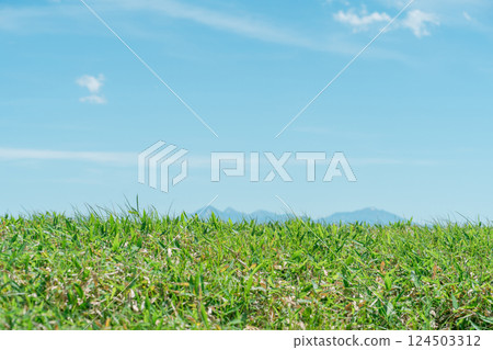 夏天的天空和高原風景，旅遊景點，旅遊，山脈，著名的地方 124503312