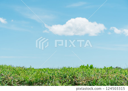 Summer sky and plateau scenery, tourist spots, travel, mountains, famous places Summer sky and plateau scenery, tourist spots, travel, mountains, famous places 124503315