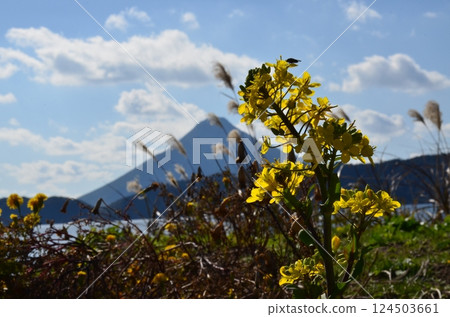 Kami-dake and Rape blossoms Kami-dake and Rape blossoms 124503661