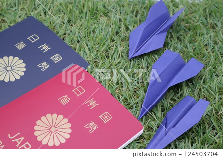 Passport and paper plane 124503704