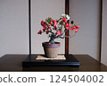 盆景（紅白木瓜花） 124504002