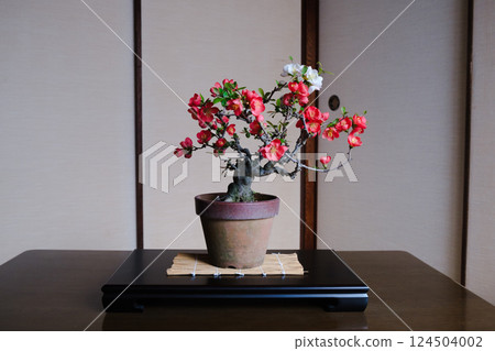 盆景（紅白木瓜花） 124504002