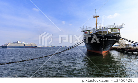 Luxury cruise ship anchored 124504293