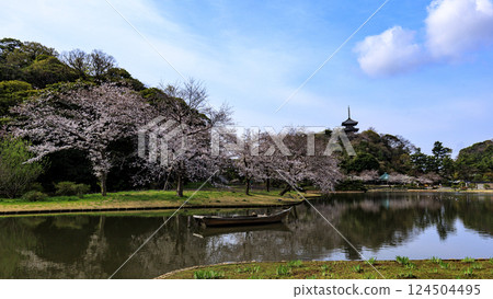 在Sanpi花園的櫻花 在Sanpi花園的櫻花 124504495