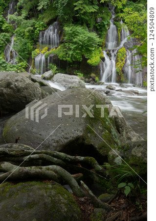 Toryu Falls surrounded by fresh greenery 124504809