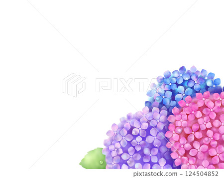 繡球花背景H-1 124504852