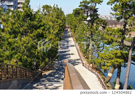 The scenic spot of the Oku no Hosomichi: Soka Matsubara and the Ayase River [Soka City, Saitama Prefecture] 124504862