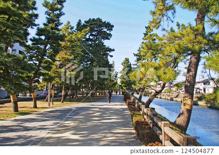 Soka Matsubara, a scenic spot on the Oku no Hosomichi trail [Soka City, Saitama Prefecture] 124504877