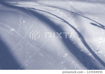 Snowball trail 124504956