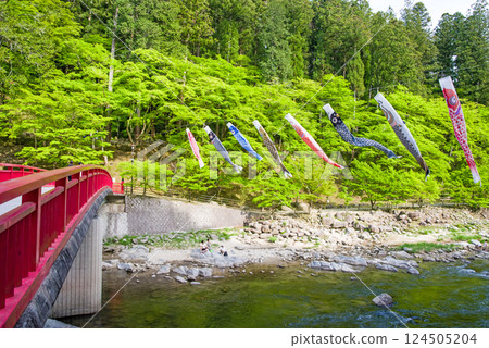 香嵐溪的新綠（愛知縣豐田市足助町） 124505204