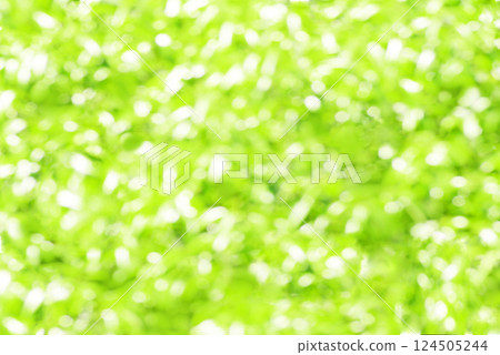 Fresh green blurred background Fresh green blurred background 124505244