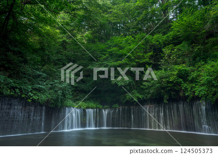 Shiraito Falls flowing through the greenery Shiraito Falls flowing through the greenery 124505373