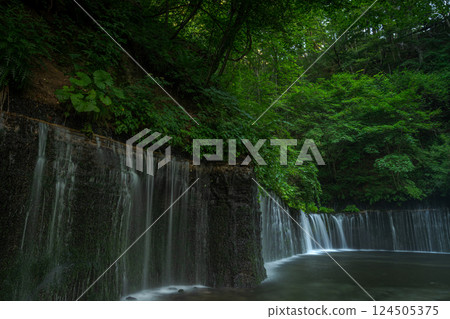 Shiraito Falls flowing through the greenery 124505375