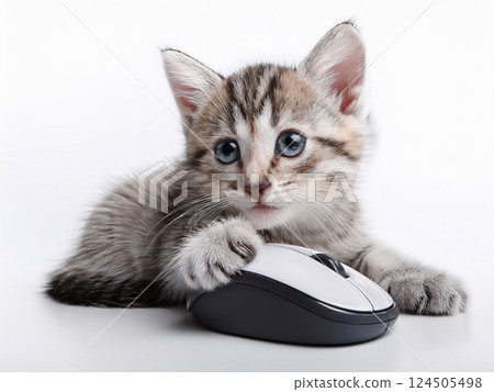 小貓在玩電腦滑鼠 124505498