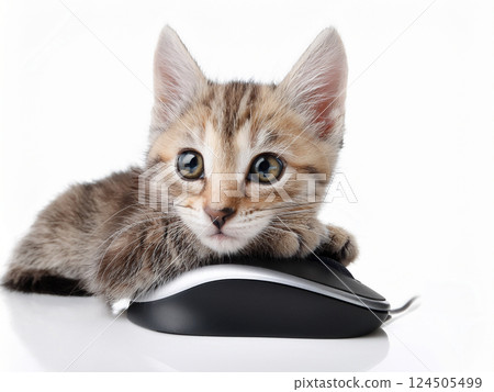 小貓在玩電腦滑鼠 124505499