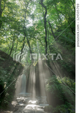 輕井澤的龍退瀑布與光線 124505769