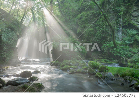Karuizawa's Ryugaeshi Falls and the rays of light 124505772