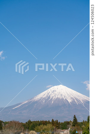 [Shizuoka Prefecture] Mt. Fuji on a clear spring day 124506023