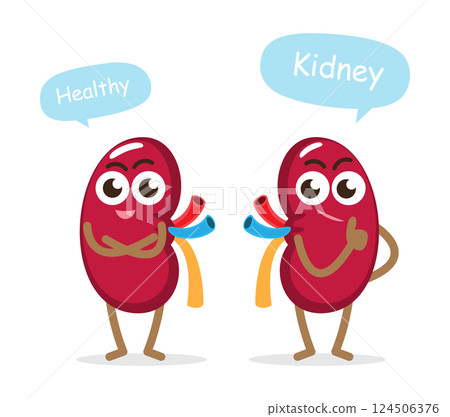 Healthy kidney . Cute medical cartoon characters . Isolated white background . Vector . Healthy kidney . Cute medical cartoon characters . Isolated white background . Vector . 124506376