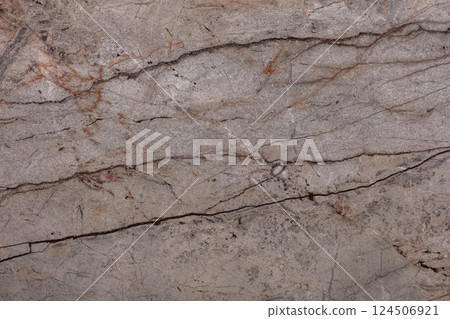 Silver Roots Marble background, texture in stylish colors for your home design. 124506921