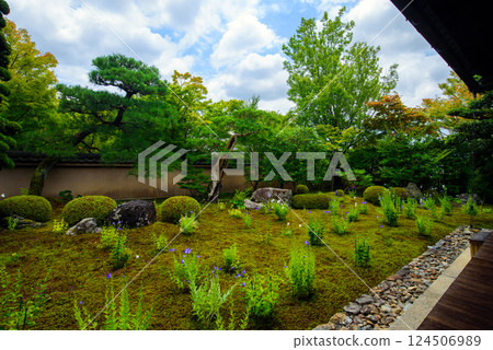 Kyoto Tenchuin Kikyo的花園 124506989